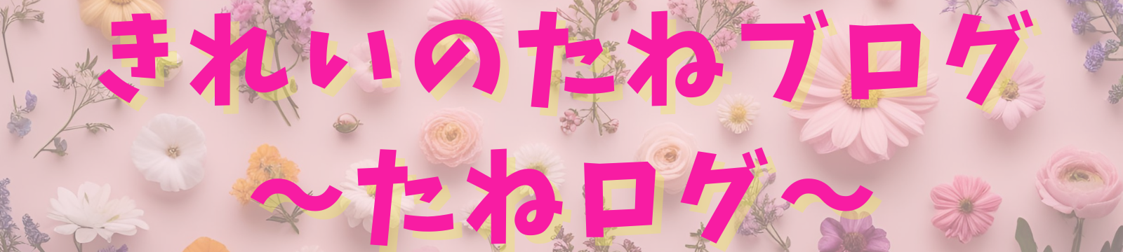 きれいのたねブログ（たねログ）